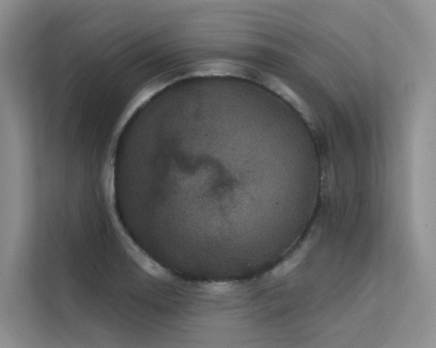 X0000112161130200908071133