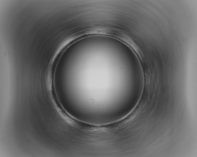 X0000112161131200908071133