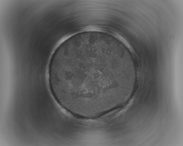 X0000112161133200908071133