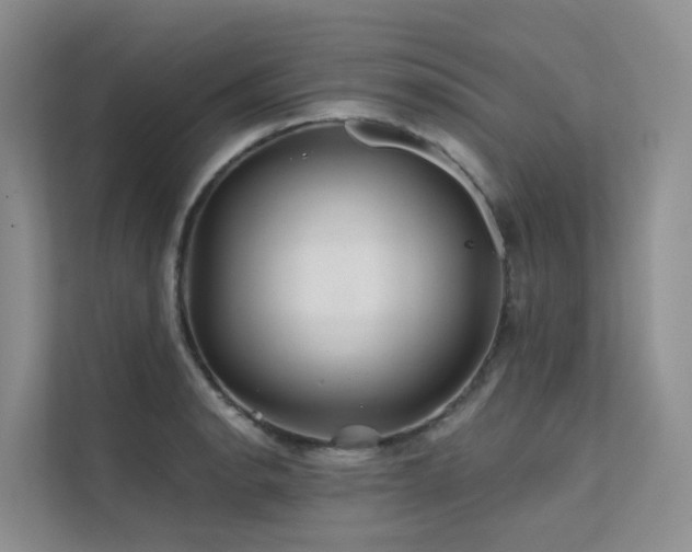 X0000112161134200908071133
