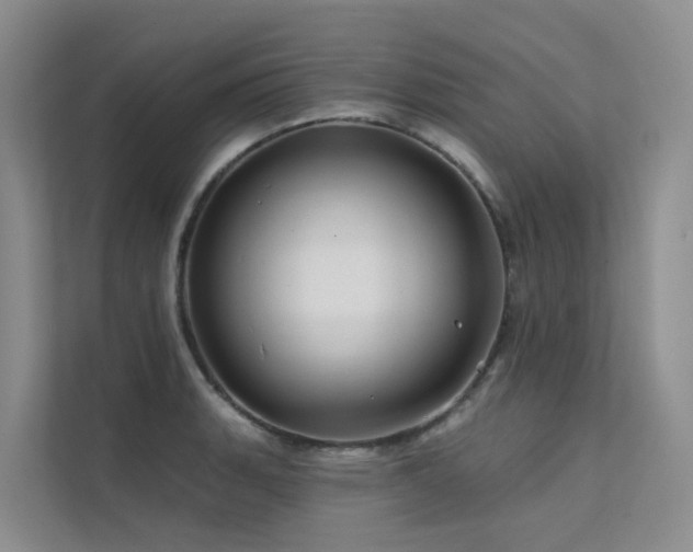 X0000112161135200908071133