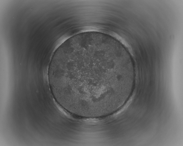 X0000112161137200908071133