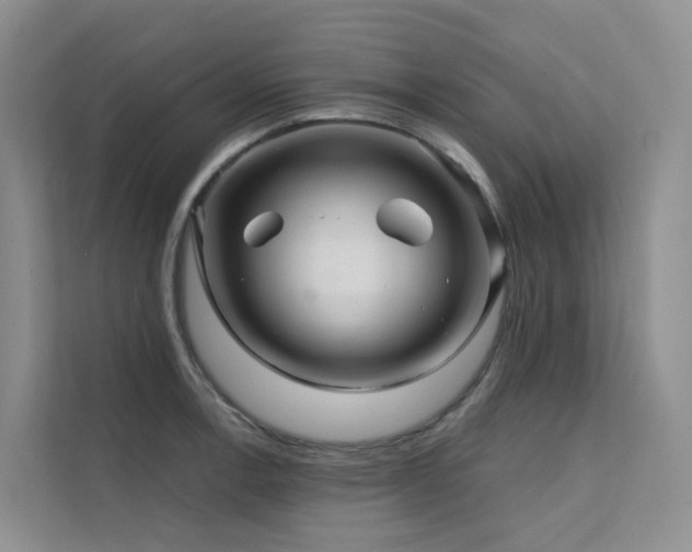 X0000112161138200908071133