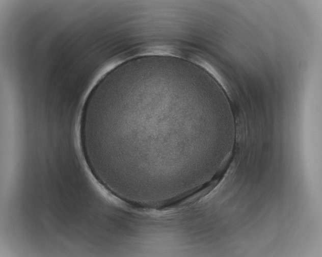 X0000112161139200908071133