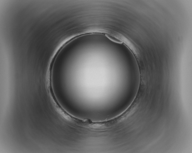 X0000112161140200908071133