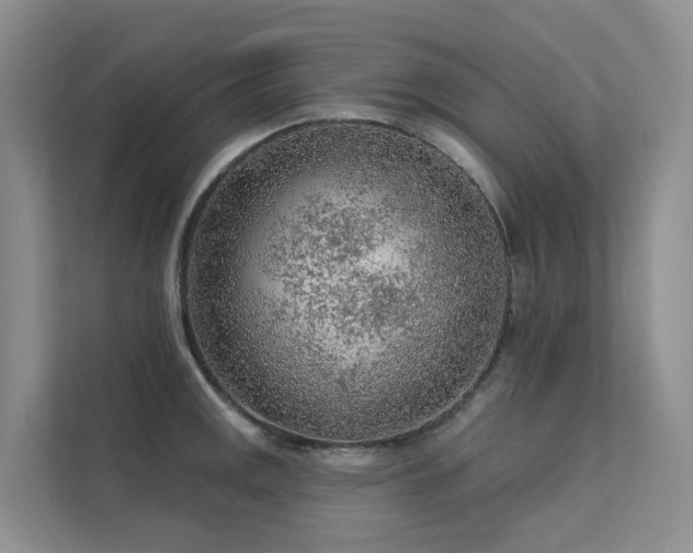 X0000112161141200908071133