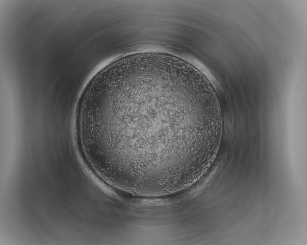 X0000112161142200908071133