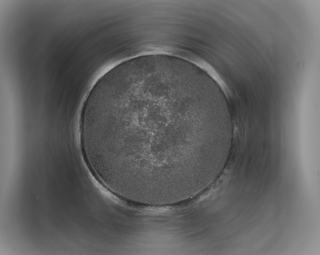 X0000112161143200908071133