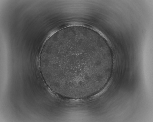 X0000112161145200908071133
