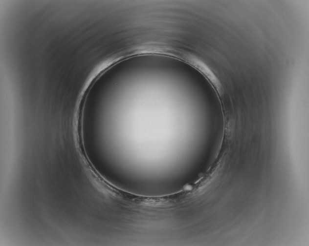 X0000112161146200908071133