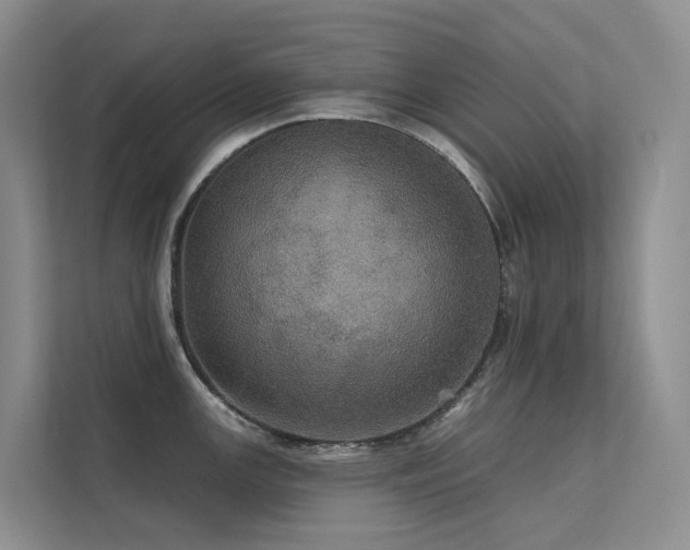X0000112161147200908071133