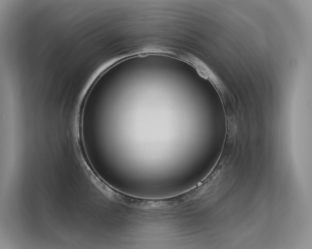 X0000112161148200908071133