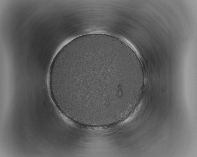 X0000112161149200908071133