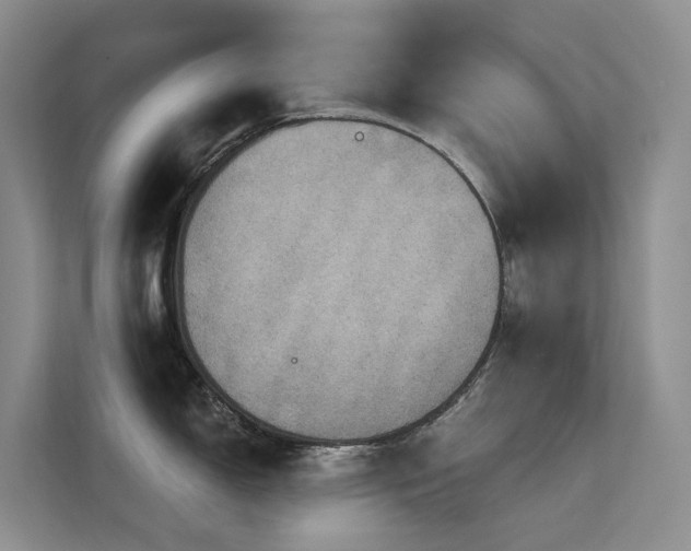 X0000112161150200908071133