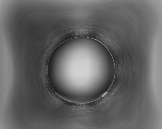 X0000112161153200908071132