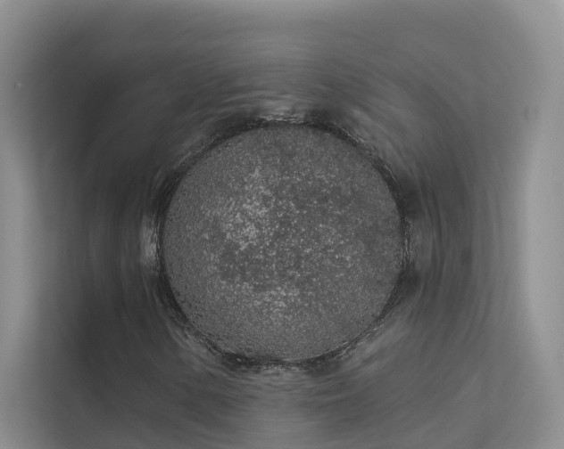X0000112161154200908071132