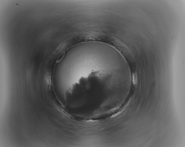 X0000112161155200908071132