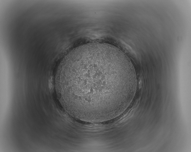 X0000112161156200908071132