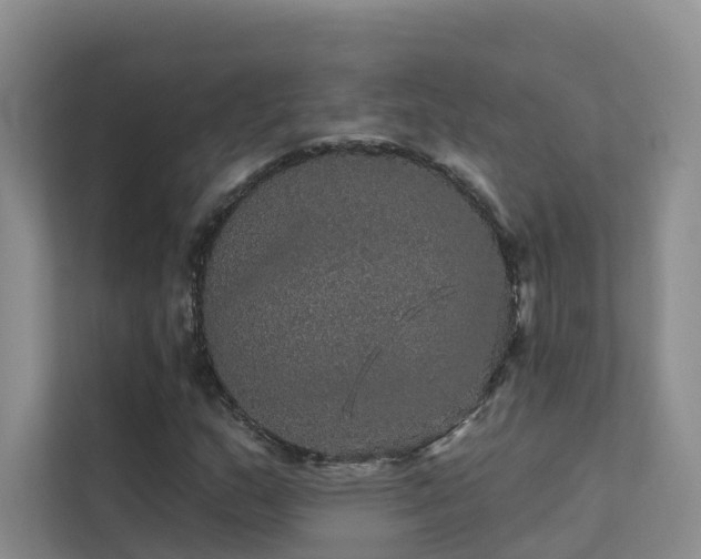 X0000112161159200908071132