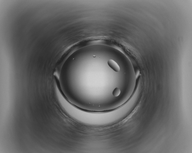 X0000112161161200908071132
