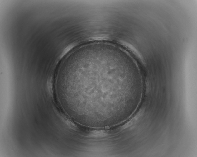 X0000112161162200908071132