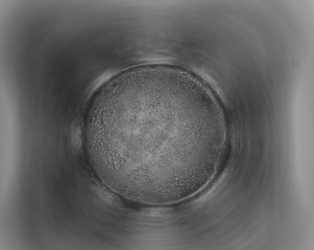 X0000112161163200908071132