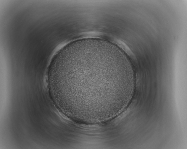 X0000112161164200908071132