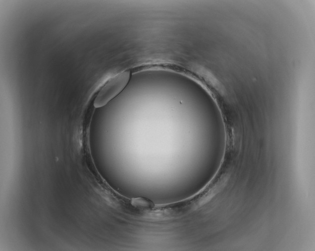 X0000112161165200908071132