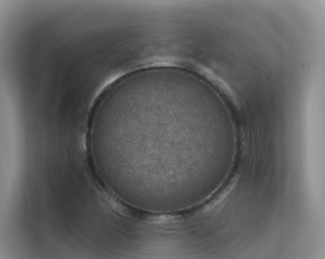 X0000112161166200908071132