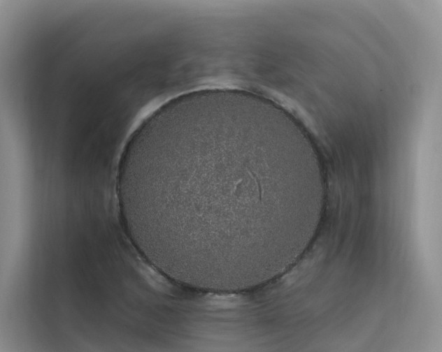 X0000112161168200908071132