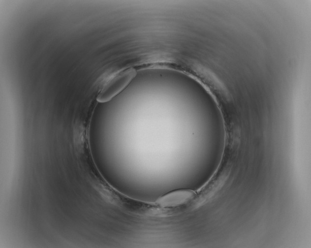 X0000112161169200908071132