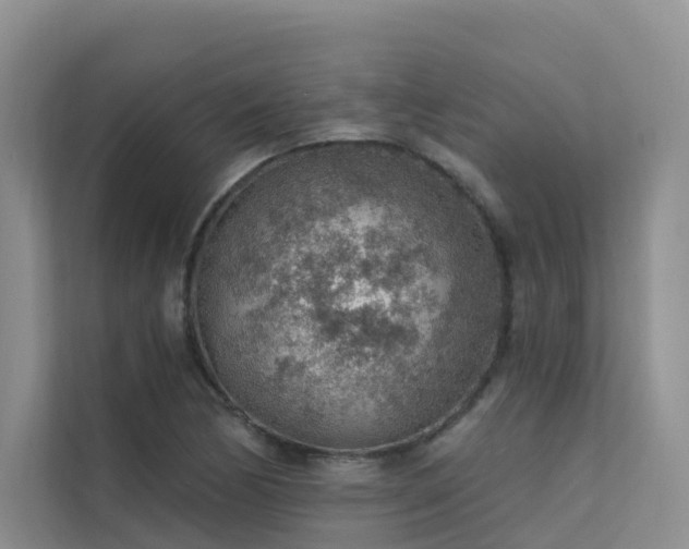 X0000112161170200908071132