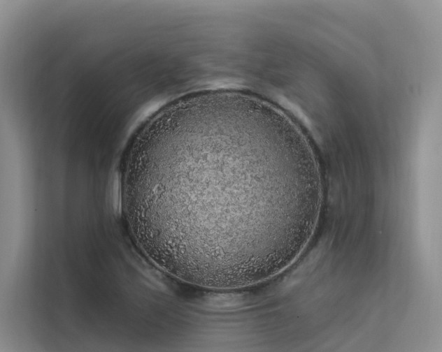 X0000112161171200908071132