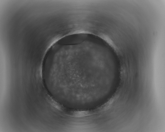 X0000112161173200908071132