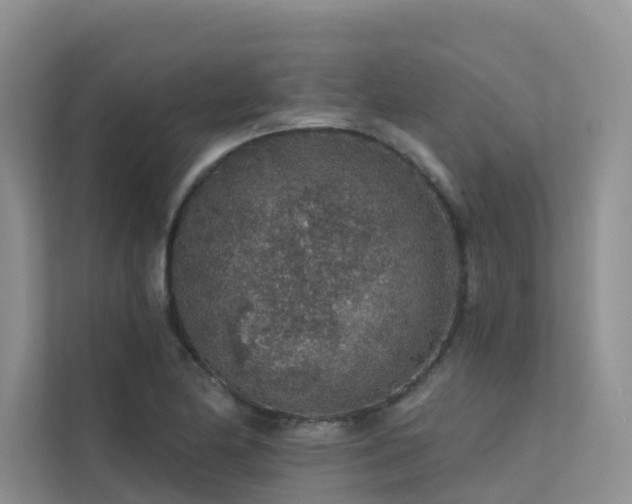 X0000112161174200908071132