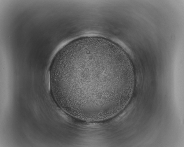 X0000112161175200908071132