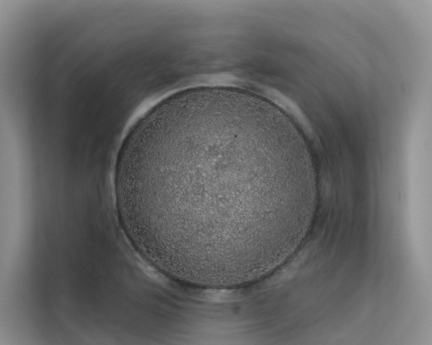 X0000112161176200908071132