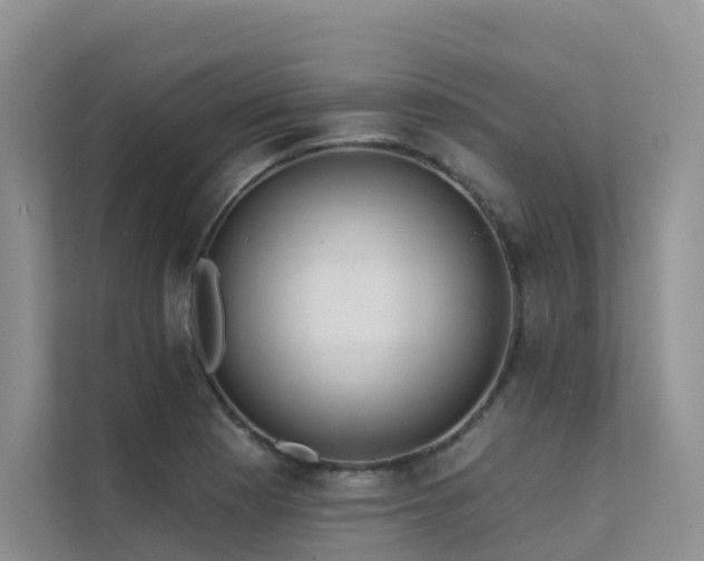 X0000112161177200908071132