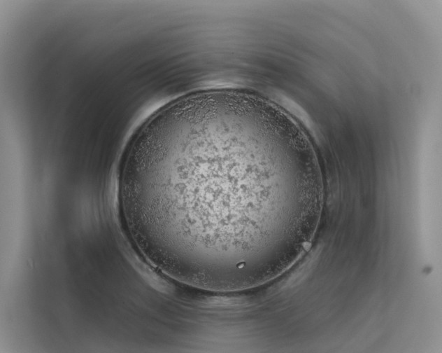 X0000112161179200908071132