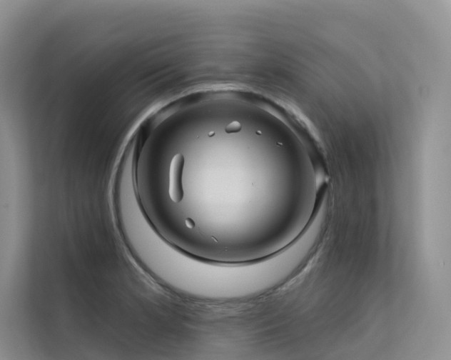 X0000112161181200908071132