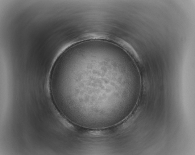 X0000112161182200908071132