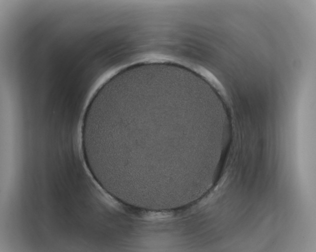 X0000112161183200908071132