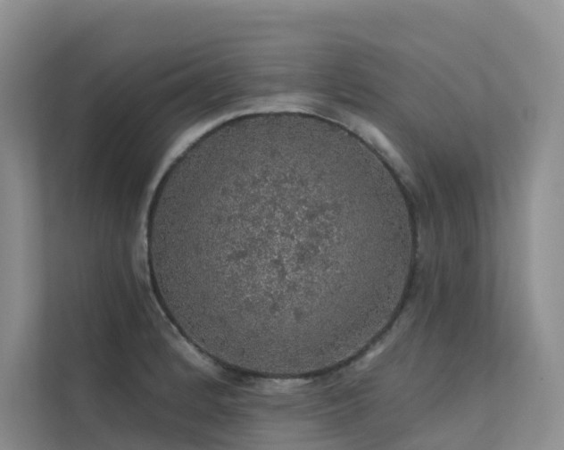 X0000112161184200908071132