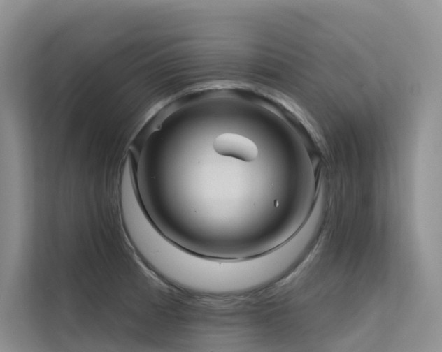X0000112161185200908071132