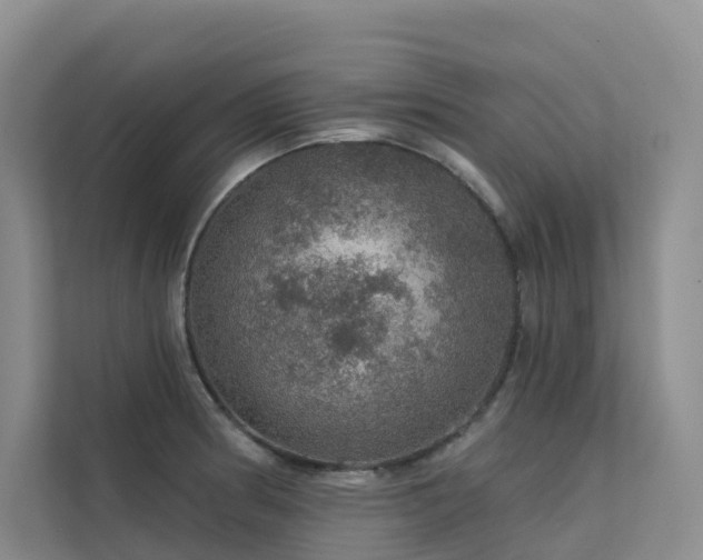 X0000112161186200908071132
