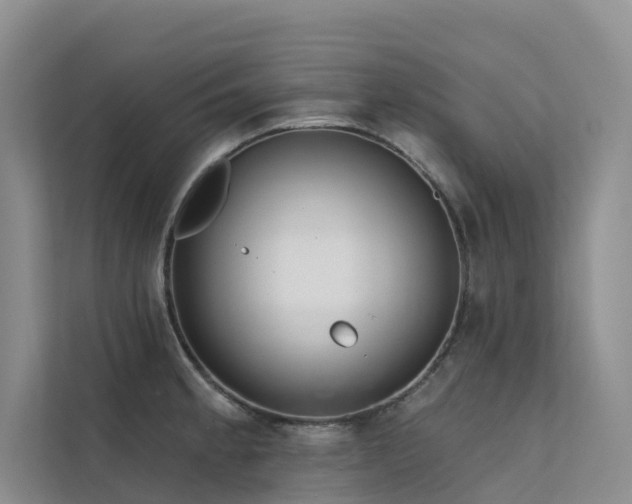 X0000112161189200908071132