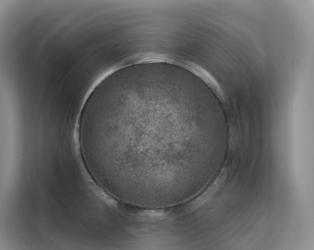 X0000112161190200908071132