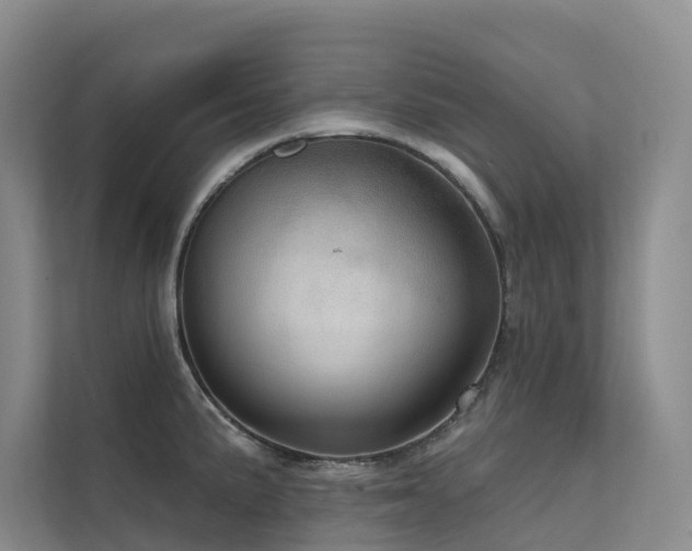 X0000112161191200908071132