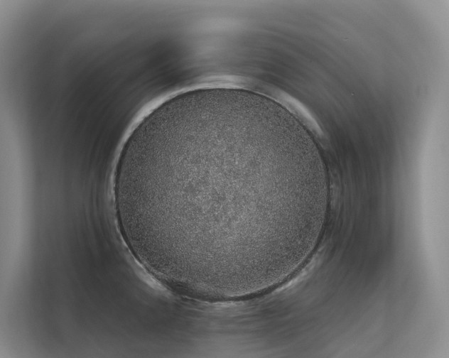 X0000112161192200908071132