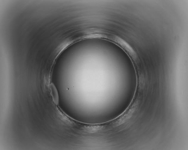 X0000112161193200908071132